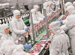 Мясоперерабатывающий комплекс за 100 млн  рублей построят на Дону в 2016 году