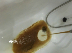 Мыться «с шиком» в халявной кока-коле заставляют коммунальщики капризных жителей Ростова