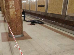 Убегая от полицейских раненый ростовчанин упал под колеса поезда в московском метро
