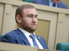 Оскорбил девушку и избил сына замначальника УФСБ: экс-сенатор Арашуков успел «наследить» в Ростове