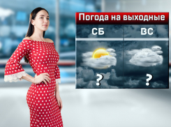 Морозы до минус 25 градусов ожидаются в Ростовской области на Старый Новый год