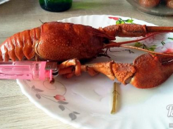 Ростовчанин похвастался уловом гигантских раков