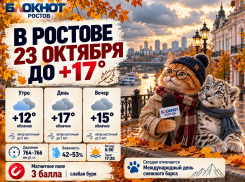 В Ростове 23 октября ожидается облачная погода и потепление до +17 градусов