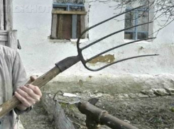 Острыми вилами в шею навсегда успокоил буйного отца молодой хуторянин в Ростовской области