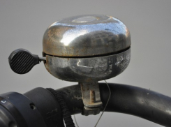 Прокатиться на велосипеде, отобрав его у ребенка, пытался ранее судимый «гонщик» из Ростовской области