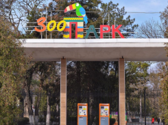 Ростовский зоопарк разыгрывает бесплатные билеты среди тех, кто сделает прививку
