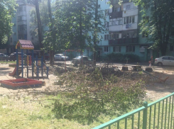 «Дуболомы» выгнали детей из песочницы в Ростове