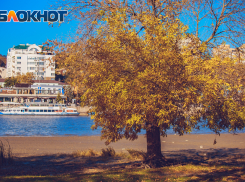 Роман Вильфанд рассказал, когда в Ростовскую область придет тепло