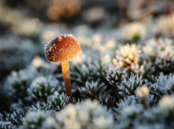 В Ростовской области температура воздуха может упасть до -5°