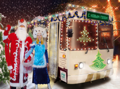 В Новогоднюю ночь ростовский общественный транспорт будет работать на час дольше