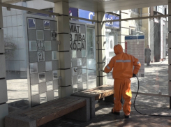 В Ростове спасатели приступили к дезинфекции улиц