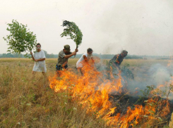 Любителям погреться у костра в Ростовской области увеличили сумму штрафа