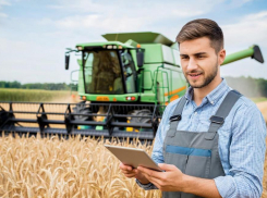 Фермер из Ростовской области собрал рекордный урожай пшеницы 