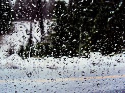 Снег с дождем ожидает ростовчан в субботу 11 января