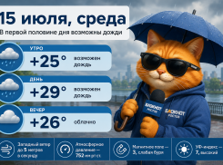 В Ростове 15 июля возможны дожди, а столбик термометра поднимется до +29