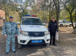 Ростовские полицейские помогли отвезти в больницу потерявшего сознание младенца