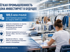 Донские предприятия лёгкой промышленности вложили почти 190 млн рублей в модернизацию