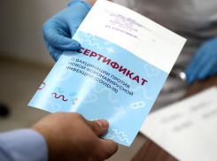 Ростовских полицейских заподозрили в покупке сертификатов о вакцинации