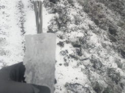 Голубев: в Ростовской области из-за непогоды отключили 266 линий электропередач