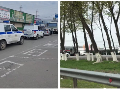 Военные и ОМОН прибыли на территорию рынка «Атлант» под Ростовом