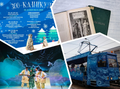 Устраиваем «Зоо-каникулы», катаемся с Дедом Морозом и посещаем царство Кощея: куда пойти в Ростове в эти выходные