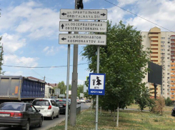 Новый знак «Куст ГАИ» посвятили притаившимся сотрудникам в Ростове