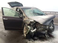 Опубликованы фото последствий жуткого столкновения иномарок на встречке в Ростовской области с гибелью мужчин