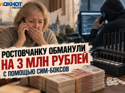 Ростовчанку обманули на 3 млн рублей с помощью сим-боксов в Саратовской области