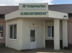 Старейшую птицефабрику Ростовской области продают на Avito за 900 млн рублей