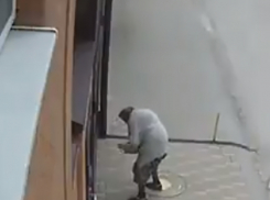 Бабка диверсантка в течение года подбрасывает фекалии соседям под двор в Ростове на видео