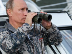 Путин ввел в Ростовской области средний уровень реагирования