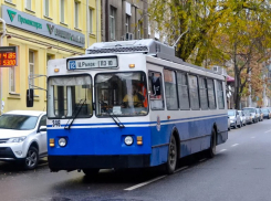 В Ростове приостановили работу трех троллейбусных маршрутов до 30 мая