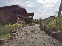 На выходные из Ростова: южный парк птиц «Малинки», возникший на депрессивной шахтинской территории