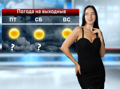 В Ростове на День города будет жаркая и солнечная погода