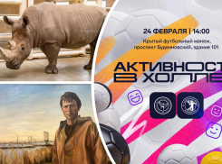 Кормим такинов мишми, играем в кикер перед матчем и становимся супергероями: куда пойти в Ростове на этой неделе