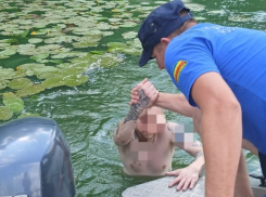 Ростовчанин едва не утонул, пытаясь переплыть залив в Шолоховском районе