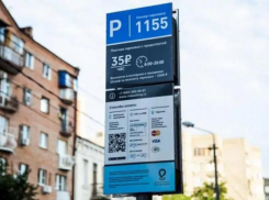 Выручка платных парковок в Ростове выросла, но компания убыточна, а поступления в бюджет минимальные