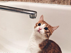 В Ростове 28 сентября Рабочий городок останется без воды 