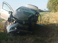 Два человека скончались в результате ДТП на трассе в Ростовской области