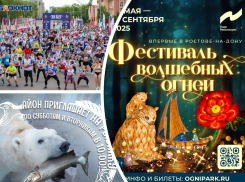 Рыбачим с белым медведем, устраиваем забег и смотрим волшебные огни: где отдохнуть в Ростове