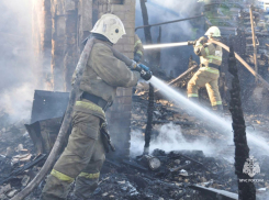 В Ростовской области за прошедшую неделю на пожарах погибло 12 человек