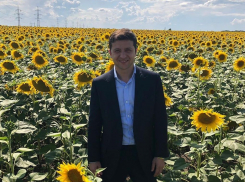 Националисты выгоняют президента Украины Владимира Зеленского в Ростов