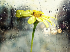 К концу недели в Ростовской области резко похолодает и польют дожди