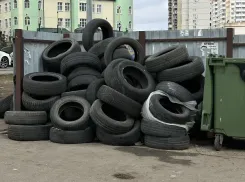 Шины и ветки под запретом: в Ростове фиксируют рост стихийных свалок у контейнеров