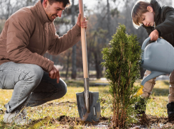 В Ростове 21 октября пройдет День древонасаждения
