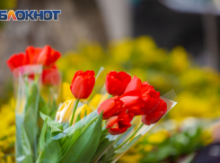 В Ростове в среду будет +16 градусов