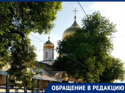 «Пусть город будет зеленым!»: ростовчанка попросила не вырубать деревья на Станиславского