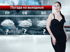 В Ростове первые выходные февраля будут дождливыми и пасмурными