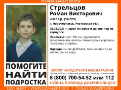В Ростовской области сутки разыскивают 14-летнего мальчика