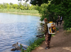 В Ростове начали обработку от комаров на Можайских прудах и Северном водохранилище